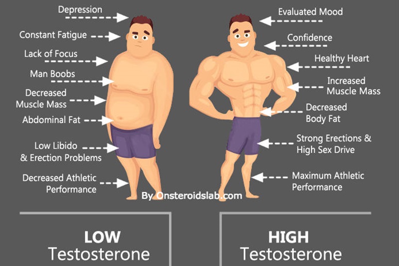 Q alimentos contienen testosterona