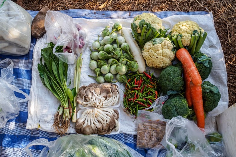 What food should I bring for three days camping